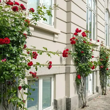 Charming In Apartamento *