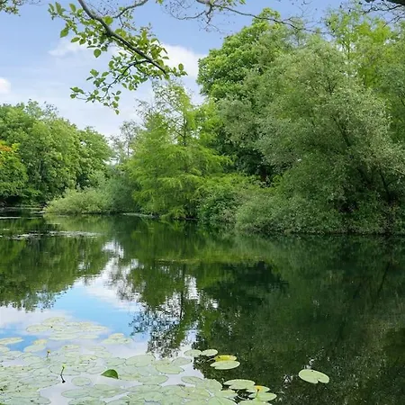 Apartment Charming In